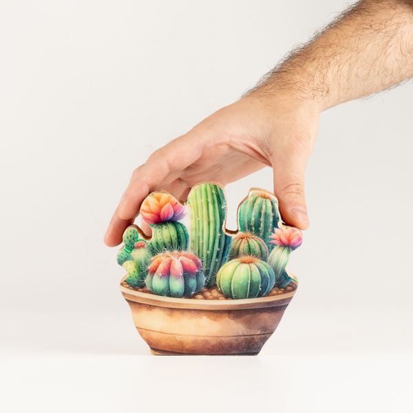 Plantes en Bois - Mini Jardin de Cactus