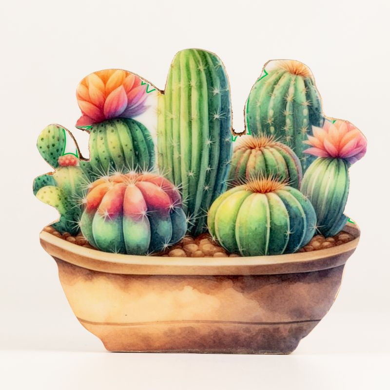 Plantes d'Intérieur en Bois - Jardin de Cactus Moyen