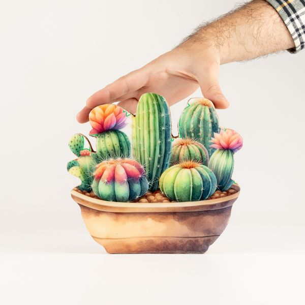 Plantes en Bois - Jardin de Cactus Moyen
