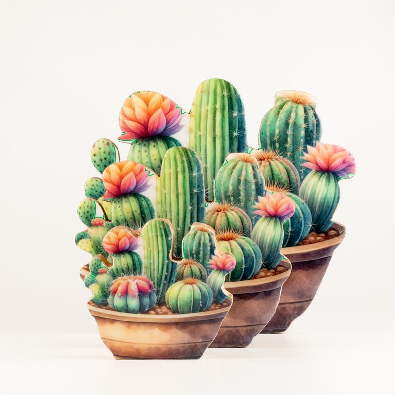 Plantes d'Intérieur en Bois - Jardin de Cactus Moyen