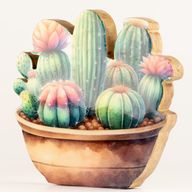 Plantes d'Intérieur en Bois - Grand Jardin de Cactus