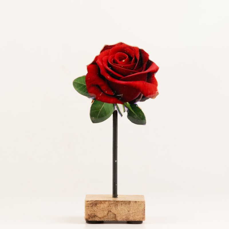 Plantes d'Intérieur en Bois - Mini Rose Unique