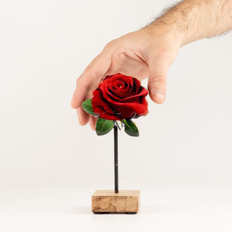 Plantes d'Intérieur en Bois - Mini Rose Unique