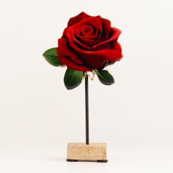 Plantes en Bois - Rose Simple Moyenne