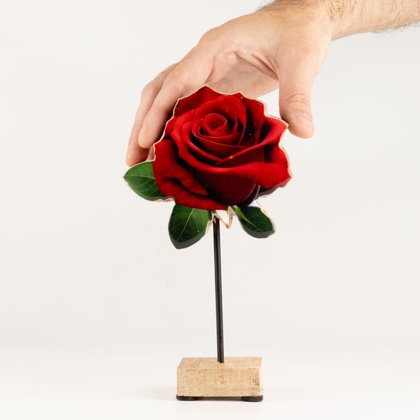 Plantes en Bois - Rose Simple Moyenne