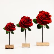 Plantes d'Intérieur en Bois - Grande Rose Unique