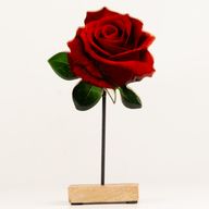 Plantes d'Intérieur en Bois - Grande Rose Unique