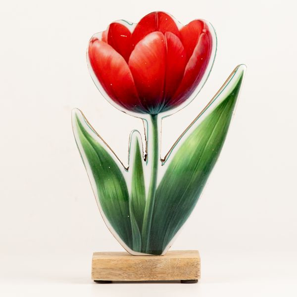 Plantes en Bois - Grande Tulipe