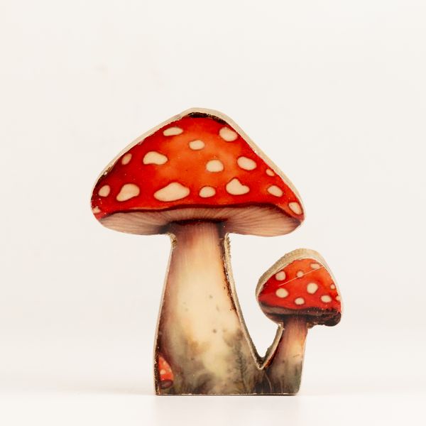 Plantes en Bois - Mini Champignon Redcap