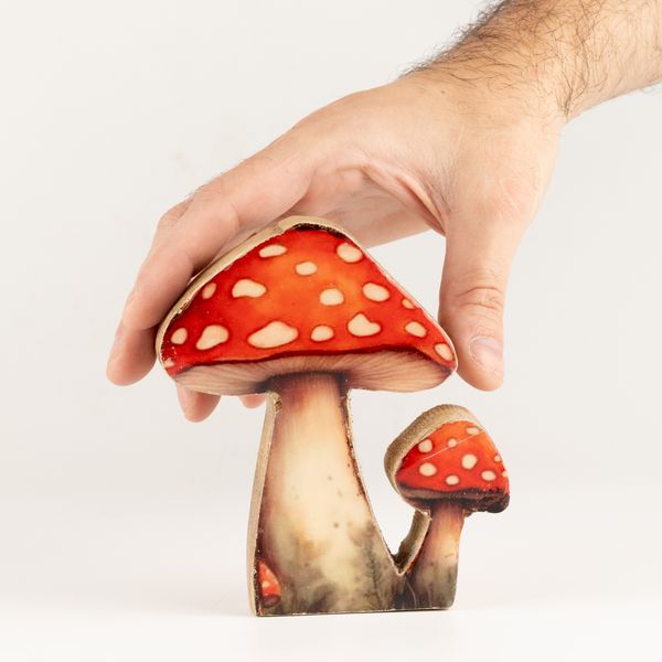 Plantes en Bois - Mini Champignon Redcap