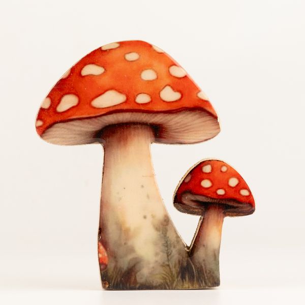 Plantes en Bois - Champignon Redcap Moyen