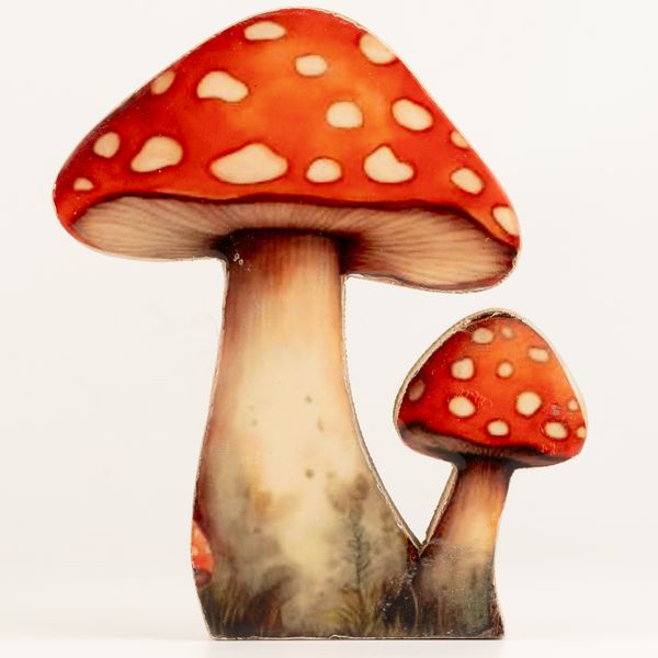 Plantes en Bois - Grand Champignon Redcap