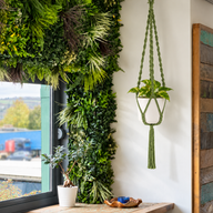 Suspension pour Plante en Macramé Simple - Vert