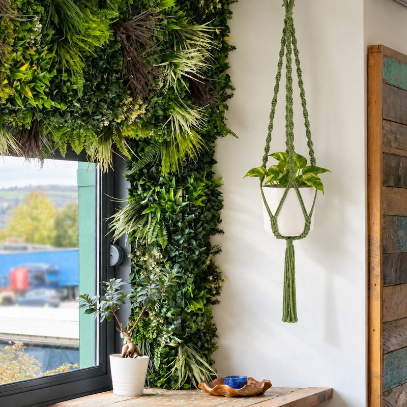 Suspension pour Plante en Macramé Simple - Vert