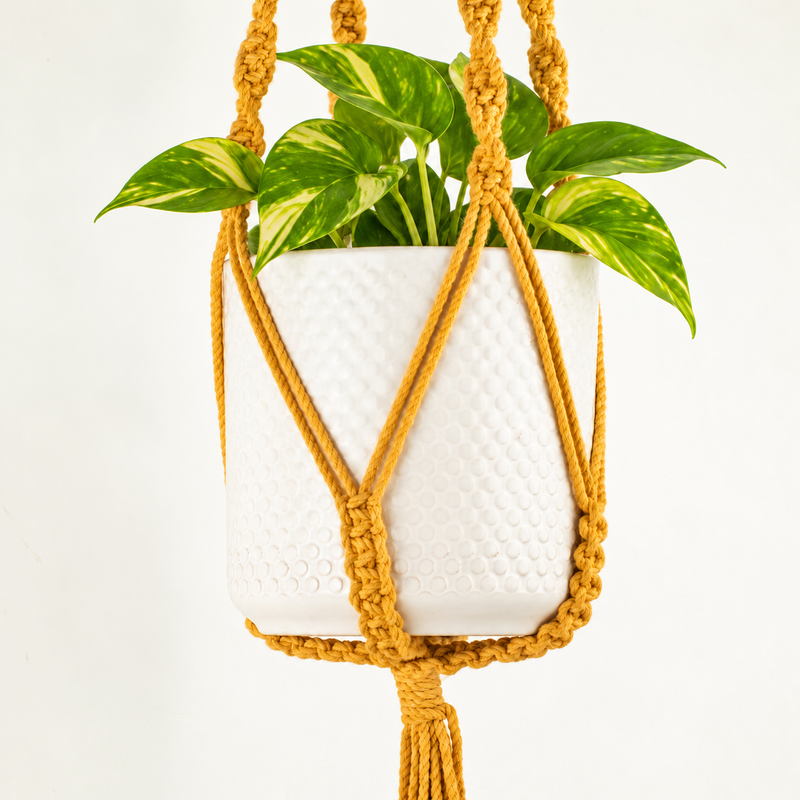 Suspension pour Plante en Macramé Simple - Moutarde