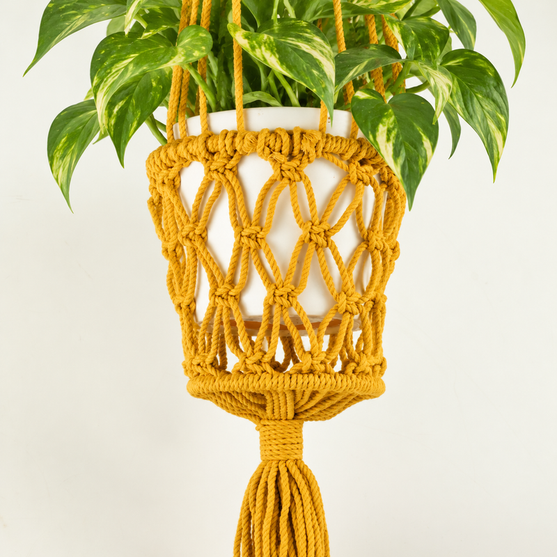 Suspension pour Plante en Macramé - Moutarde
