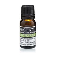 Eucalyptus - Huile Essentielle 10ml