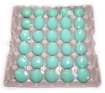 Oeuf de bain - 45g Mangue
