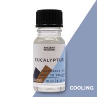 Eucalyptus - Huiles parfumées