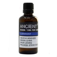 Menthe des Champs - Huile essentielle professionnelle 50ml