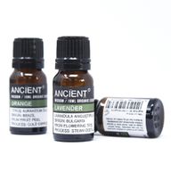 Eucalyptus - Huile Essentielle Bio 10ml
