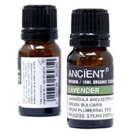 Eucalyptus - Huile Essentielle Bio 10ml