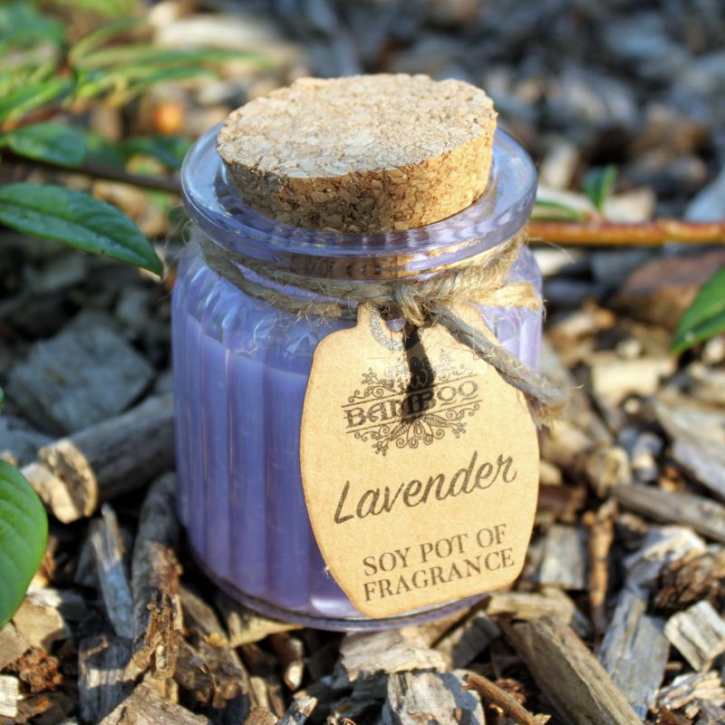 Bougies en pot à la cire de soja - Lavande