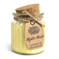 Bougies en pot à la cire de soja - Musk mystique