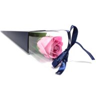 Rose Unique - Rose