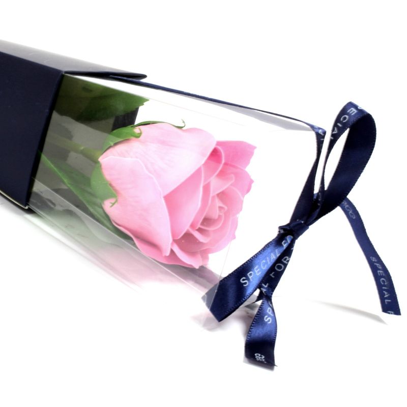 Rose Unique - Rose
