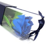 Rose Unique - Bleue