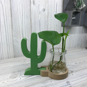 Décoration Culture Hydroponique-Présentoir Cactus Vert