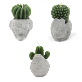 12x Bougies Cactus - Pots Animaux (asst) sur Présentoir