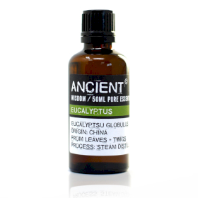 Eucalyptus - Huile essentielle professionnelle 50ml