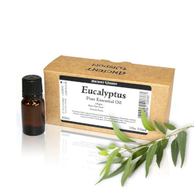 10x Eucalyptus - Huile Essentielle 10ml