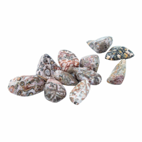 24x Tumble Stone - Peau de Léopard M