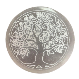 Petite Plaque de Recharge 8cm - Arbre de Vie