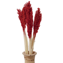 6x Bouquet d\'Herbes Séchées - Cantal - Rouge Feu