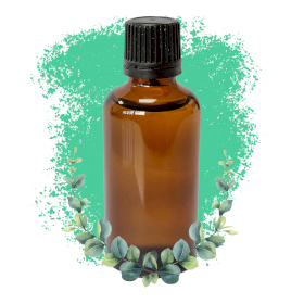 10x Eucalyptus 50ml - Sans étiquette