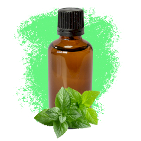 10x Menthe poivrée 50ml - Sans étiquette