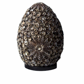 Lampe Coquillage Boho - Ovale Torsadé Chocolat - 20cm