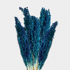 6x Bouquet d\'Herbes Séchées du Cantal - Bleu