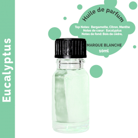 10x Eucalyptus - Huile parfumée 10 ml - sans étiquette