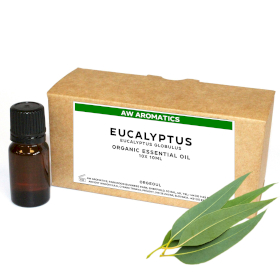 10x Huile Essentielle Bio Eucalyptus 10ml - Sans étiquette