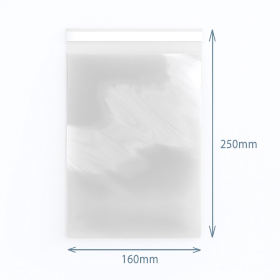 500x Sachets Polypropylène 160x250mm (500)