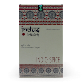 12x Trésors d’Indus – Épices Indiques (Indic-Spice) – 15 g