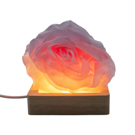 3x Socles LED Carrés en Bois 8 cm – USB – Blanc Froid/Chaud/Blanc Naturel