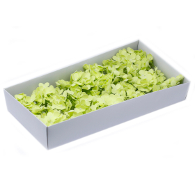 36x Fleurs de Savon pour Bouquet - Jacinthe Vert clair