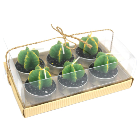 5x Lot de 6 Bougies Cactus sans Épines