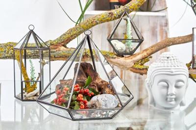 terrarium en verre